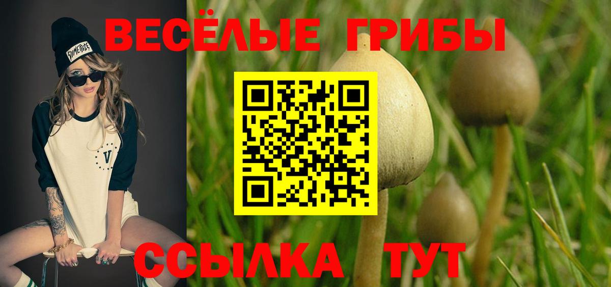 Псилоцибиновые грибы GOLDEN TEACHER Грязи