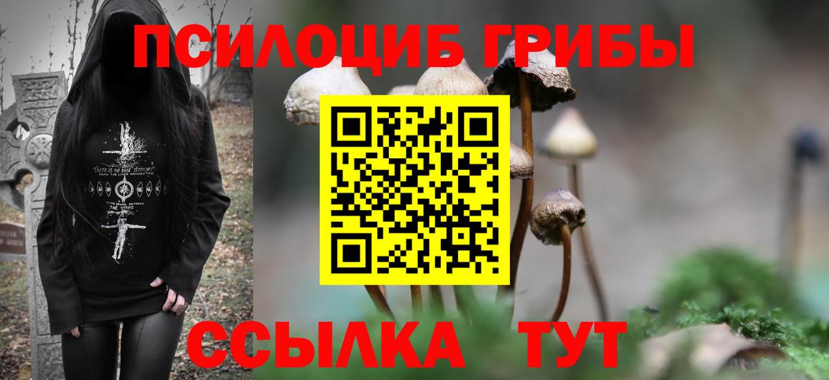 Грязи  Псилоцибиновые грибы Magic Shrooms  продажа наркотиков  Вход с VPN  Галлюциногенные грибы ЛСД 