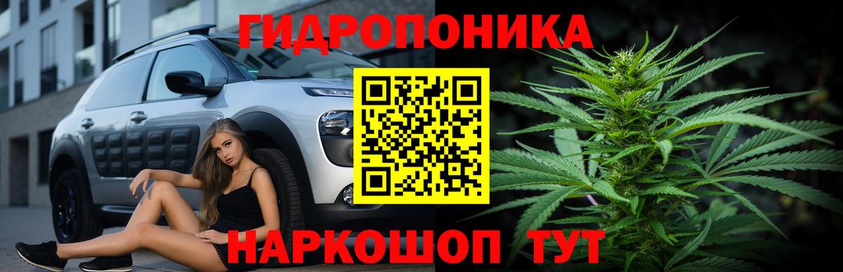 Конопля LSD WEED  Бошки марихуана Bruce Banner  Бошки Шишки марихуана  Вход с VPN  Грязи 